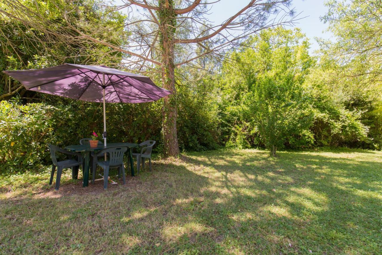 Agriturismo L'Esinante Cupramontana Екстериор снимка