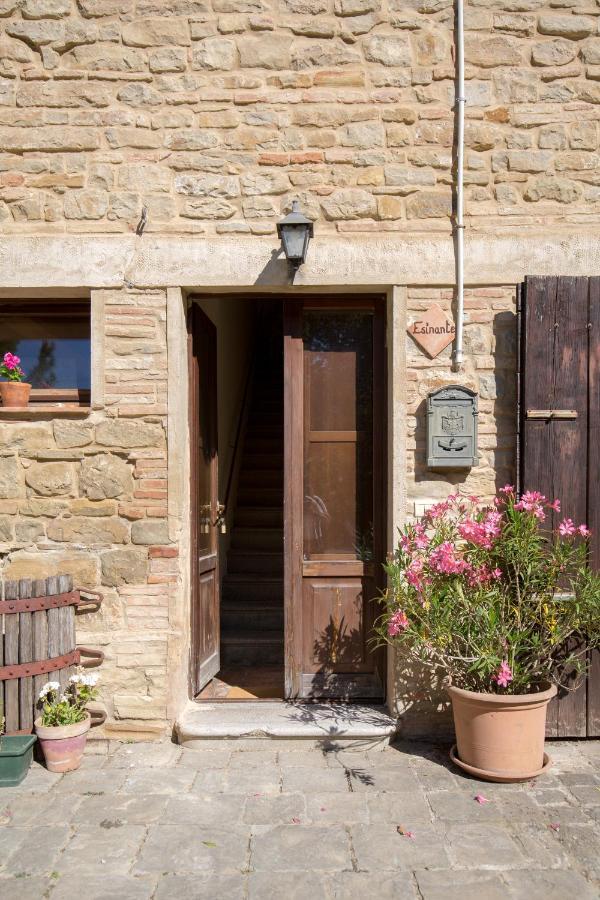 Agriturismo L'Esinante Cupramontana Екстериор снимка