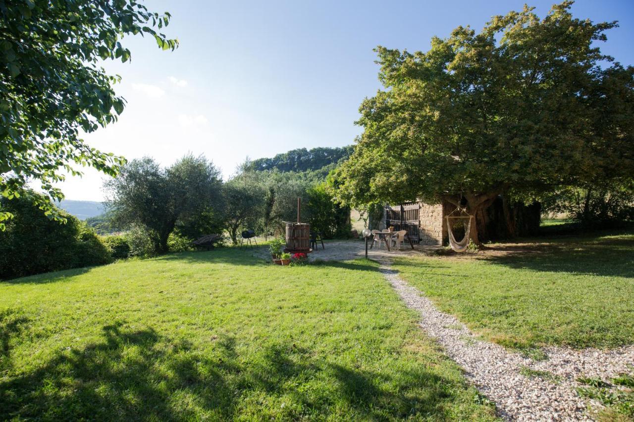 Agriturismo L'Esinante Cupramontana Екстериор снимка